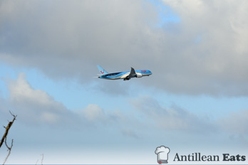 TUI Airlines - 787 taking off